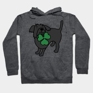 St Patricks Day Dog with Shamrock Hoodie